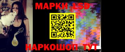PSILOCYBIN Гатчина