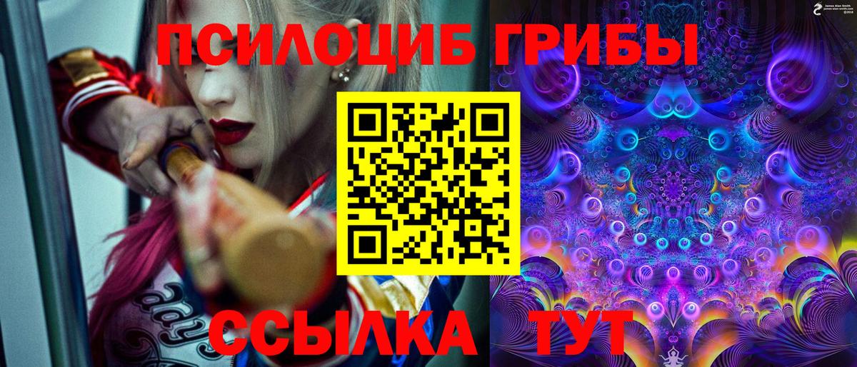 Псилоцибиновые грибы мухоморы Качканар